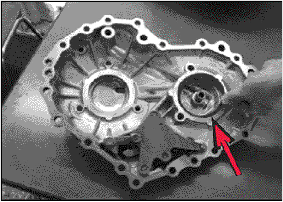 520065657_graphic-text256